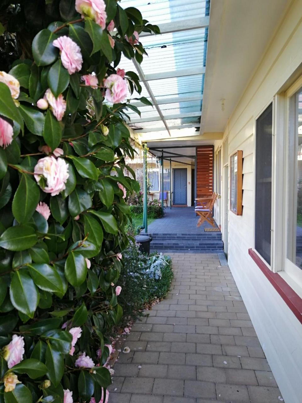 Wintersun Gardens Motel Бичено Екстер'єр фото